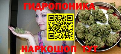 крисы Беслан