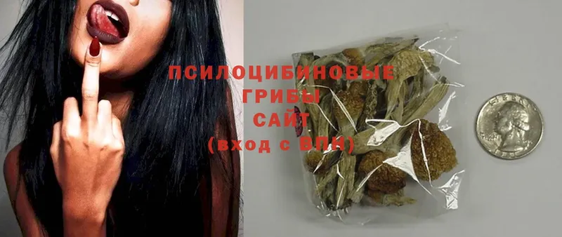 Псилоцибиновые грибы MAGIC MUSHROOMS  даркнет сайт  Дивногорск 