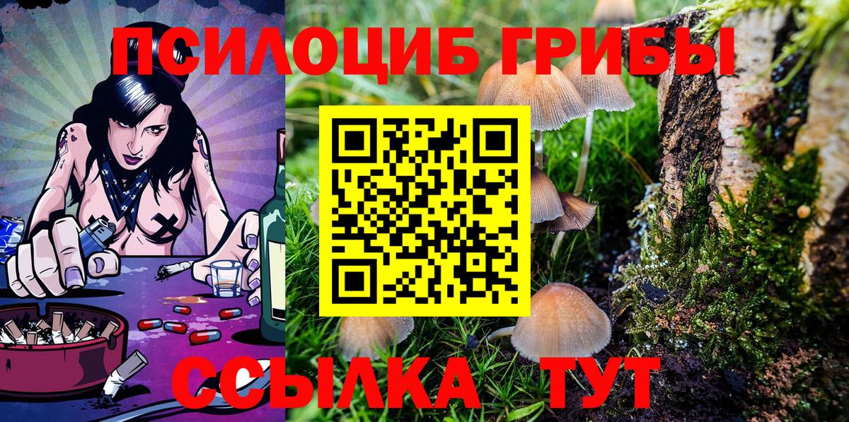 Псилоцибиновые грибы Cubensis  Дивногорск 