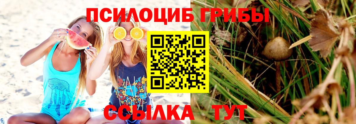 Дивногорск  Псилоцибиновые грибы GOLDEN TEACHER  где продают наркотики  Вход с VPN 