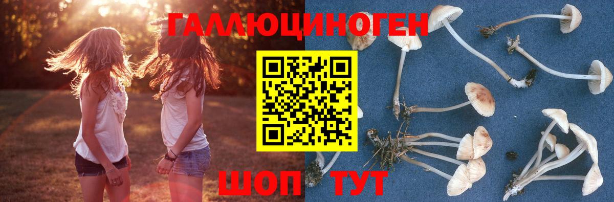 Псилоцибиновые грибы Magic Shrooms Дивногорск