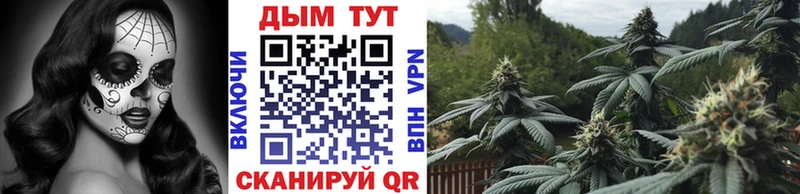 Бошки Шишки AK-47 Дивногорск
