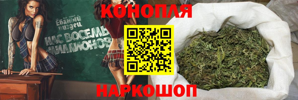 Конопля White Widow  Канабис ГИДРОПОН  Канабис OG Kush  Конопля Bruce Banner  Дивногорск  Вход с VPN 